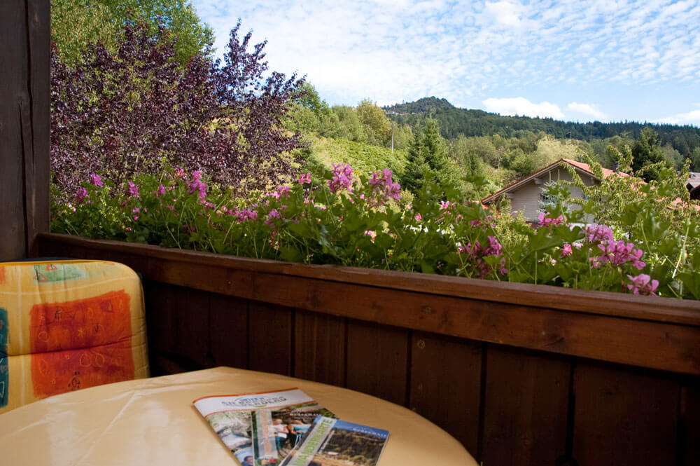 Balkon mit Ausblick auf den Silberberg - Ferienwohnung Helena